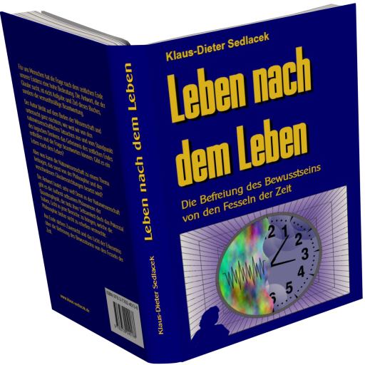 Buchcover: Leben nach dem Leben